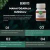 Medisiddh Mahayogaraja guggulu 50 No's | Vata diseases | Gout | Pain in ligaments view 3
