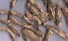 AYURVEDIC ZONE Bach Roots - Gudbach Jadd - Sweet Flag Root - Gurbach - Bach - Vach - Acorus Calamus (200 gm) view 2