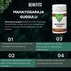 Medisiddh Mahayogaraja guggulu 100 No's | Vata diseases | Gout | Pain in ligaments view 3