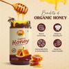 ANP BEE Raw Organic Honey 500gm Glass Jar I 100% Pure Natural NPOP Certified Lab Tested Unfiltered & Unprocessed Original Forest Honey I Helps in Curing Cold & Cough view 4
