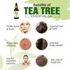 67Stores Pure Tea Tree Essential Oil - 100% Natural Solution for Hair, Skincare, Aromatherapy and Wellness for Women and Men Pack of 2 view 3