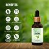 67Stores Pure Tea Tree Essential Oil - 100% Natural Solution for Hair, Skincare, Aromatherapy and Wellness for Women and Men Pack of 2 view 4