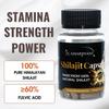 Amarjivani Shilajit for Men - Pure Himalayan Shilajit Supplement for Enhanced Stamina and Energy - Authentic and Natural Source for Optimal Vitality and Endurance view 2