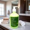Khadi Pure Herbal Aloevera Hand Wash Bottle (500 ml) (Pack of 2) (1000 ml) view 4