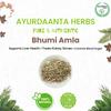 Ayurdaanta Herbs - Bhumiamla 100Gr.| Dried Bhumi Amla 100Gr | Bhoomi Amla 100Gr | Bhumiamlaki 100Gr | Nelanelli - Phyllanthus Niruri- Bhuiamlaki- Keelanelli - Bhumyamalaki |  100Gr |   100Gr view 4