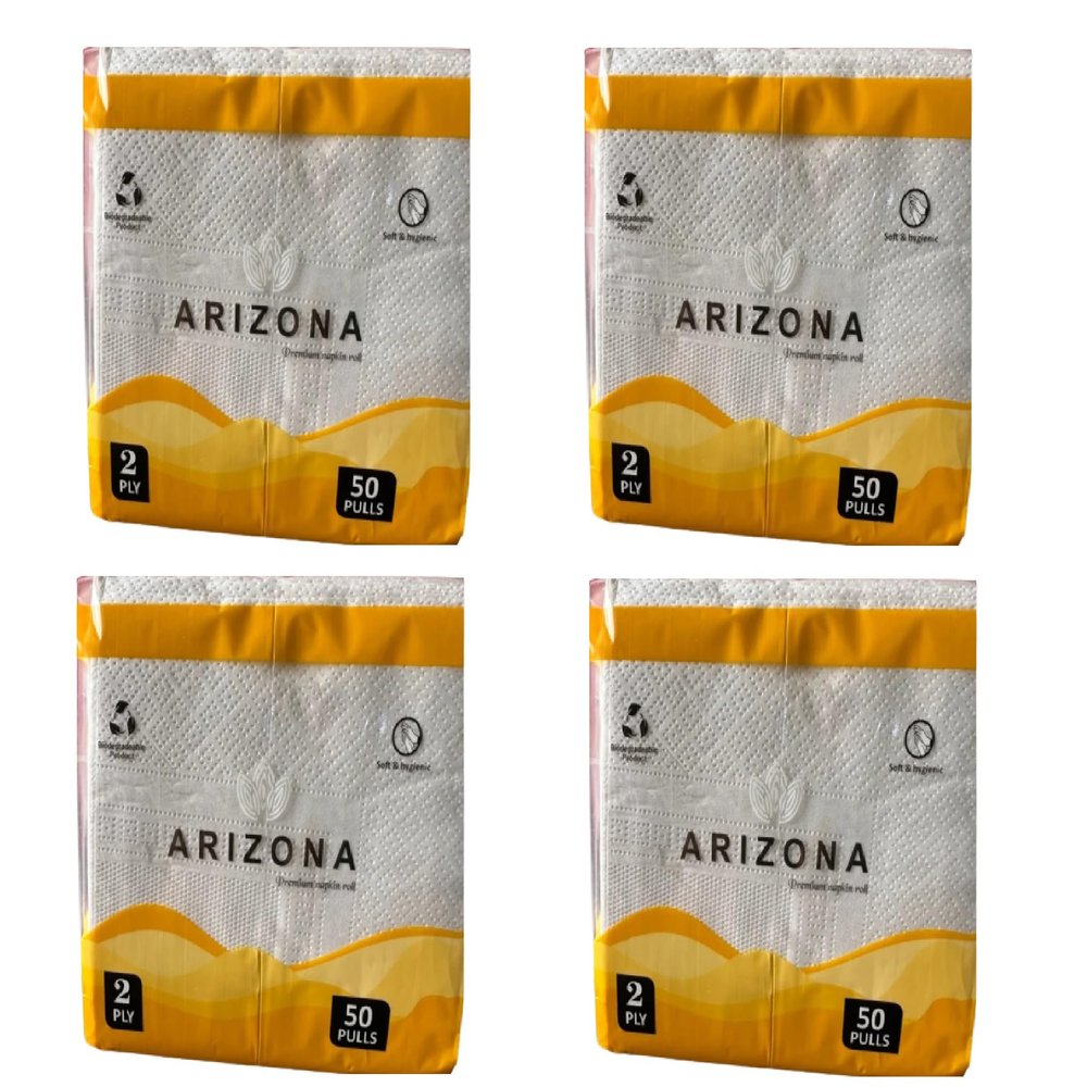 ARIZONA PAPER NAPKIN 2PLY SOFT 30X30 PACK-4