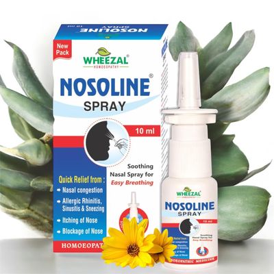 Wheezal Nosoline Nasal Spray 10 ml (Pack of 2 Bottles)