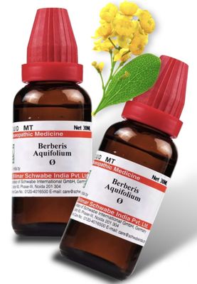 Schwabe Berberis Aquifolium Mother Tincture Q - 30ml - SET OF 2 Bottles