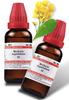 Schwabe Berberis Aquifolium Mother Tincture Q - 30ml - SET OF 2 Bottles view 1