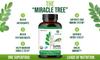 Purkai Moringa 120 Capsules (Pack Of 1) Family Nutrition | Herbal | Minerals | Energy Revitalise | Superfood view 2