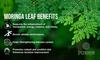 Purkai Moringa 120 Capsules (Pack Of 1) Family Nutrition | Herbal | Minerals | Energy Revitalise | Superfood view 4