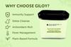 Heilen Biopharm Giloy Powder  For Immunity & Detox Support | Tinospora Cordifolia | Natural Antioxidant | 100 g Pack of 1 | Plant-Based Herbal Supplement  No Preservatives view 4