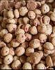 COOKIENUTS Cranberry Coconut Cookies - Tropical Delight, 1000g view 4