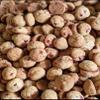 COOKIENUTS Cranberry Coconut Cookies - Tropical Delight, 1500g view 4