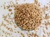 CERELIA Festival of Grains  Shri foods - Barley Puff Salt & pepper -Whole Grain, High in Protein, Lightly Salted, Oil Free - 45 Gram (pack of 5) view 2