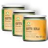 Ayurvedix Organic Gotu Kola/Centella Asiatica/Mandupakarni/Brahmi Powder - 200gm - Ayurvedic Herb for The Brain and Nervous System (3) view 1
