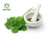Ayurvedix Organic Gotu Kola/Centella Asiatica/Mandupakarni/Brahmi Powder - 200gm - Ayurvedic Herb for The Brain and Nervous System (3) view 4