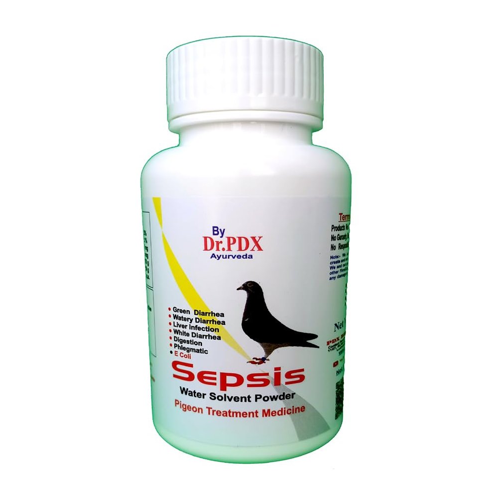Pigeon Viral Disease Preventing Medicine || Sepsis Powder || Cover 8 Viral Diseses || Kabootar Medicine || Pigeon Medicine (100 Pigon Pack - 50.Gram)
