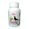 Pigeon Viral Disease Preventing Medicine || Sepsis Powder || Cover 8 Viral Diseses || Kabootar Medicine || Pigeon Medicine (100 Pigon Pack - 50.Gram) view 1