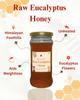 BURAANSH Eucalyptus Bottle Honey - Unprocessed, Unheated 100% Pure & Natural Raw Honey | No Added Sugar Unadulterated | Quick Energy Boost, Relieves Cough, Soothes Sore Throat (Pack of 1) (270.00) view 2