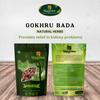 DAYAKISHAN Gokhru Bada, Gokshura Big, Gokharu Bada Whole, Raw Pedalium Murex, Sabut Gokhru Bada, Tribulus Terrestris, Gokhru Seeds, Large Caltrops, Palleru, Nerunjil (250gm) view 2