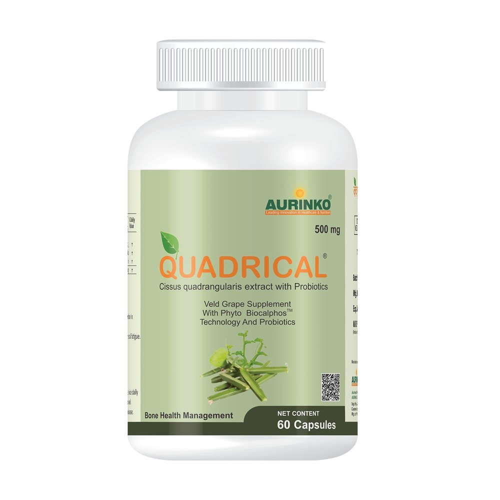 Quadrical - Cissus quadrangularis 250 mg with Probiotics, Lactobacillus bulgaricus and streptococcus thermophilus, fortified with FOS by Aurinko Healthcare. 60 Capsules