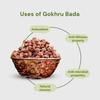 DAYAKISHAN Gokhru Bada,Gokshura Big, Gokharu Bada Whole, Raw Pedalium Murex (Sabut), Tribulus Terrestris, Gokhru Seeds, Large Caltrops, Palleru, Nerunjil, Pack of 1(900gm) view 3