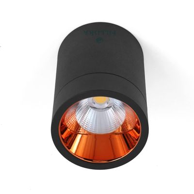AARELL LED Surface/Spot Light, Black & Rose Gold Finish, Shockproof Alluminium Body & Antiglare Diffuser (Warm White, 12 Watt)