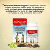 Baidyanath Ayurved Medohar Guggulu Tablets, Enriched with Guggulu, Chitrakmool and Nagarmotha- 120 Tablets (Pack of 2x120) view 4