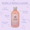 Atmosphere Kombucha Naturally Sparkling Probiotic Tea | Blueberry Lavender & Himalayan Plum | Gut Friendly | Antioxidant and Hydration Companion | 420ml, Combo Pack view 2