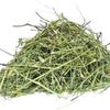 Kalmegh Chirayta Hara-Andrographis Paniculata-Raw Herbs-Jadi Booti-Single Herbs (50 Gram) view 2