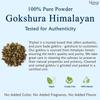 TRIPHAL Bada Gokhru Churna - 200g | Organic Himalayan Gokshura Powder With Maximum Potency Palleru - Nerunjil Non GMO Natural and Pure | For Vitality and Wellbeing view 3