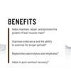 Unived Elite Endurance Protein | Plant Based Protein for Athletes | 30g Pea Protein, 200mg Magnesium, & Electrolytes | Supports Lean Muscle Development & Optimal Recovery | 30 Servings (Cocoa Choco) view 4