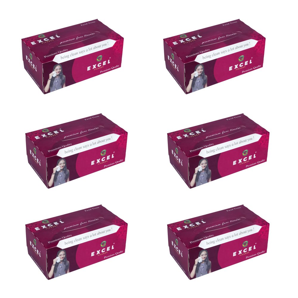 EXCEL TISSUES Facial Tissue | Soft, Gentle & Absorbent Paper Napkins for Daily Use | Skin-Friendly, Hygienic & Disposable | 200 Pulls  Soft & Durable 2-Ply Tissues for Home (pack of 6)