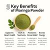 Ayurvedix Organic Moringa Powder - Moringa Oleifera - Organic Moringa for Immunity, Digestion & Energy - 150g Veg Powder Pack Of 3 view 3