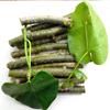 Tinospora Cordifolia Guduchi Fresh Stems Stickes 10 Nos. Grown Upon Neem Tree Giloy view 2