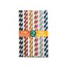 ECO SOUL [6 MM, 100 Count] Biodegradable Multicolor Paper Straws | Disposable Drinking Rainbow Eco-Friendly Compostable Paper Straws | Cocktail Cold Drink Juice Smoothie Non-Bendable Straws (Regular) view 4