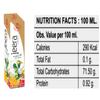 Royal Raj Mango Syrup, Strawberry Syrup for Natural Refreshing Drink and Immunity Booster | Jeera Sharbat Squash And Beverage | Blend of Natural Immunity Booster (Pack of 3, 750ML) view 4