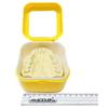 ADDLER DENTAL DENTURE CASE/STRAINER BASKET RETAINER CLEANING SOAK FOR NIGHT GUARD. (AUTOCLAVABLE) QTY:- 1/ ORAL CARE/DENTURE CARE view 2
