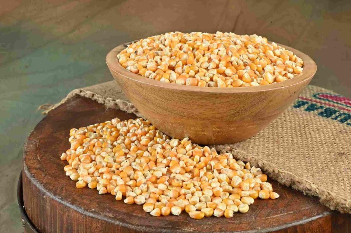 Usha's Imported Popcorn Kernels (Makai),100% Popping Kernels,Corn Kernels. (1kg).