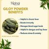 TRIPHAL Giloy Stem Powder 200g | Pure & Natural Guduchi/Gulvel (Tinospora Cordifolia) Churna | Preservative Free | Non GMO | Organic view 2