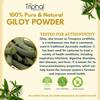 TRIPHAL Giloy Stem Powder 200g | Pure & Natural Guduchi/Gulvel (Tinospora Cordifolia) Churna | Preservative Free | Non GMO | Organic view 3