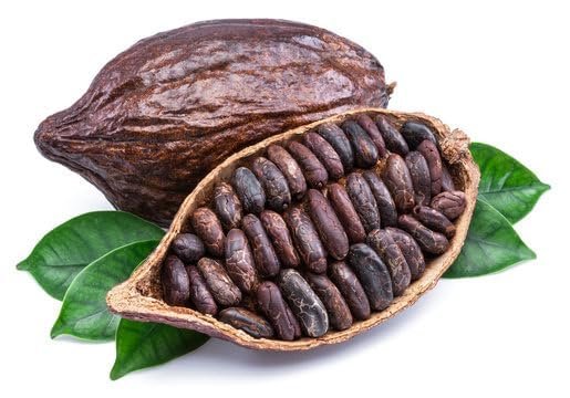 Midday Cocoa Beans | fermented | Sun dried | Raw Cocao Bean | from Kerala, 200 gm