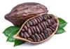 Midday Cocoa Beans | fermented | Sun dried | Raw Cocao Bean | from Kerala, 200 gm view 1
