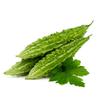 3V PRODUCTS Bitter Gourd Powder | Pavakkai | Karela 100g view 2