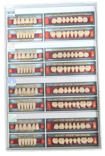 Dental Acrylic Nutry Rock Teeth Kit Set Shade Of Teeth M-S15 A3