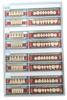 Dental Acrylic Nutry Rock Teeth Kit Set Shade Of Teeth M-S15 A3 view 1
