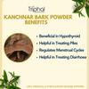 TRIPHAL Kanchnar Bark Powder 200g | Kachnaar Chaal Churna | Natural & Preservative Free | Bauhinia Variegata Powder view 3
