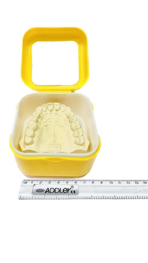 ADDLER DENTAL DENTURE BOX, DENTURE BATH CASE BOX HOLDER STORAGE SOAK CONTAINER WITH STRAINER BASKET, RETAINER CLEANING. (AUTOCLAVABLE) QTY:- 1