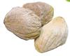 3V PRODUCTS Mango Seed Powder 300g | Aam Beej | Maa Kottai | Aam Guthli (Pack of 3x100g) view 3